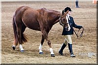 4H-Sate-102713-1032.jpg