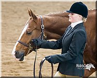 4H-Sate-102713-1035.jpg