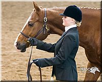 4H-Sate-102713-1036.jpg