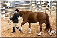 4H-Sate-102713-1037.jpg