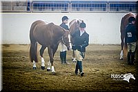 4H-Sate-102713-1039.jpg