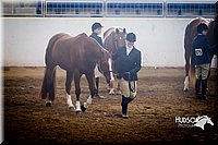 4H-Sate-102713-1040.jpg