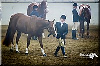 4H-Sate-102713-1041.jpg