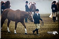 4H-Sate-102713-1042.jpg
