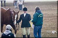 4H-Sate-102713-1043.jpg