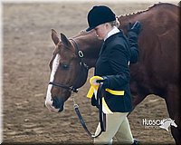 4H-Sate-102713-1044.jpg