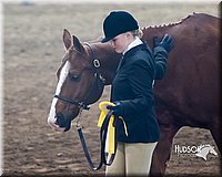 4H-Sate-102713-1045.jpg