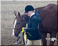 4H-Sate-102713-1046.jpg