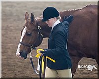 4H-Sate-102713-1048.jpg