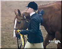 4H-Sate-102713-1051.jpg