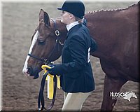 4H-Sate-102713-1052.jpg