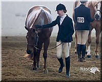 4H-Sate-102713-1060.jpg