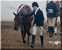 4H-Sate-102713-1061.jpg