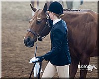 4H-Sate-102713-1067.jpg