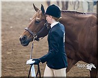 4H-Sate-102713-1068.jpg