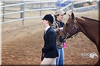 4H-Sate-102713-1072.jpg