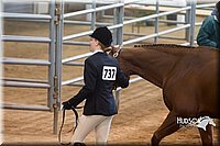 4H-Sate-102713-1073.jpg