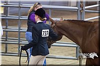 4H-Sate-102713-1074.jpg