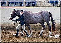 4H-Sate-102713-1077.jpg