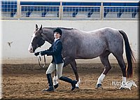 4H-Sate-102713-1078.jpg