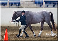 4H-Sate-102713-1079.jpg