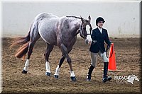 4H-Sate-102713-1081.jpg