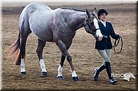 4H-Sate-102713-1083.jpg