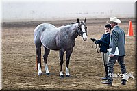 4H-Sate-102713-1084.jpg