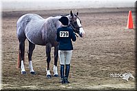 4H-Sate-102713-1086.jpg