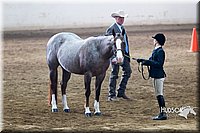 4H-Sate-102713-1087.jpg