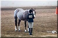 4H-Sate-102713-1088.jpg