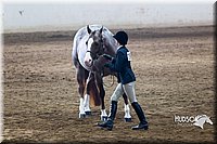 4H-Sate-102713-1089.jpg