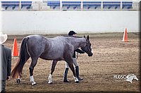 4H-Sate-102713-1090.jpg