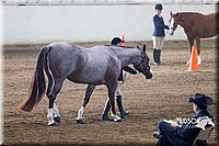 4H-Sate-102713-1091.jpg