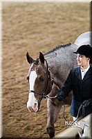4H-Sate-102713-1092.jpg