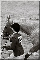 4H-Sate-102713-1093.jpg
