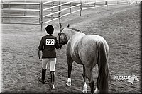 4H-Sate-102713-1094.jpg