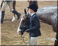 4H-Sate-102713-1098.jpg