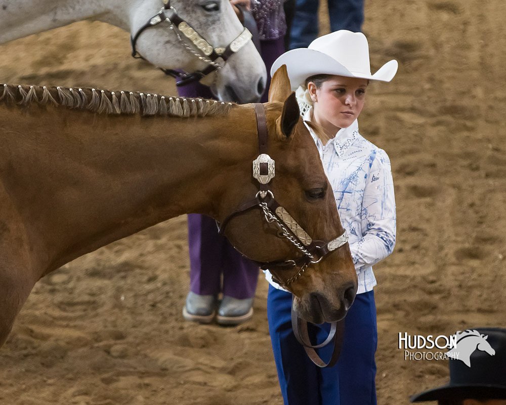 4H-Sate-102713-0992.jpg