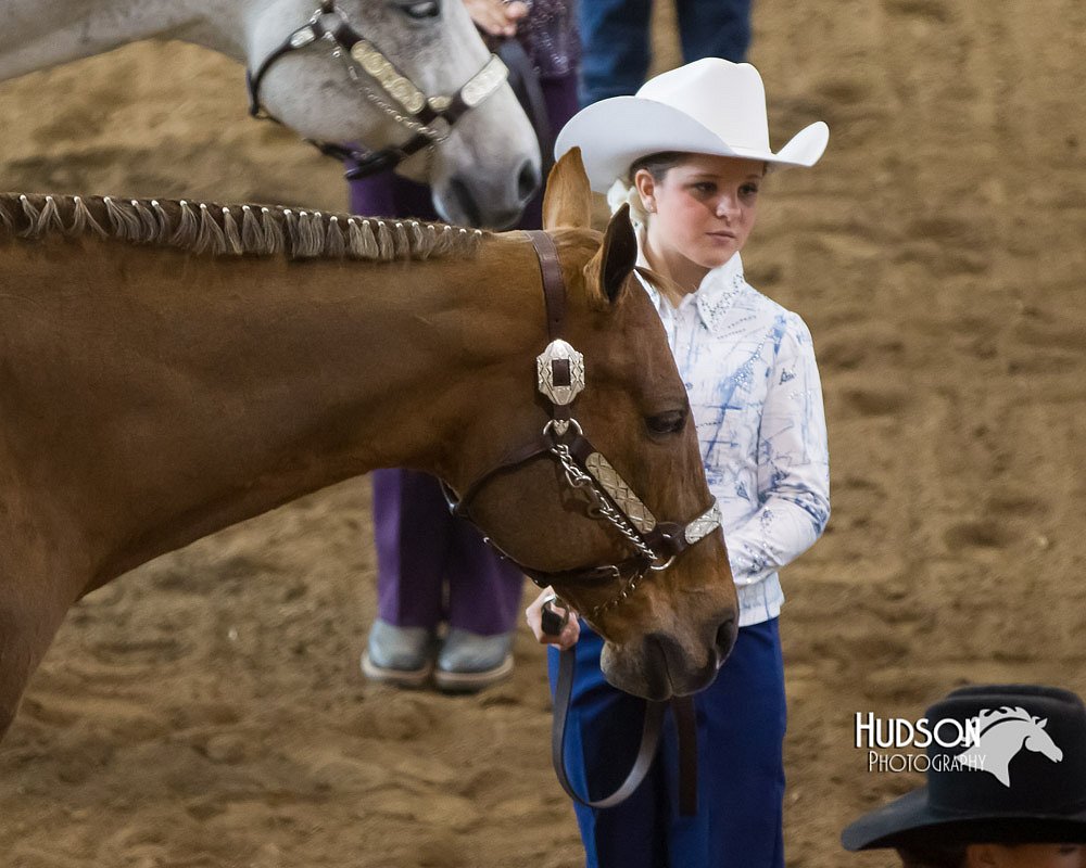 4H-Sate-102713-0993.jpg