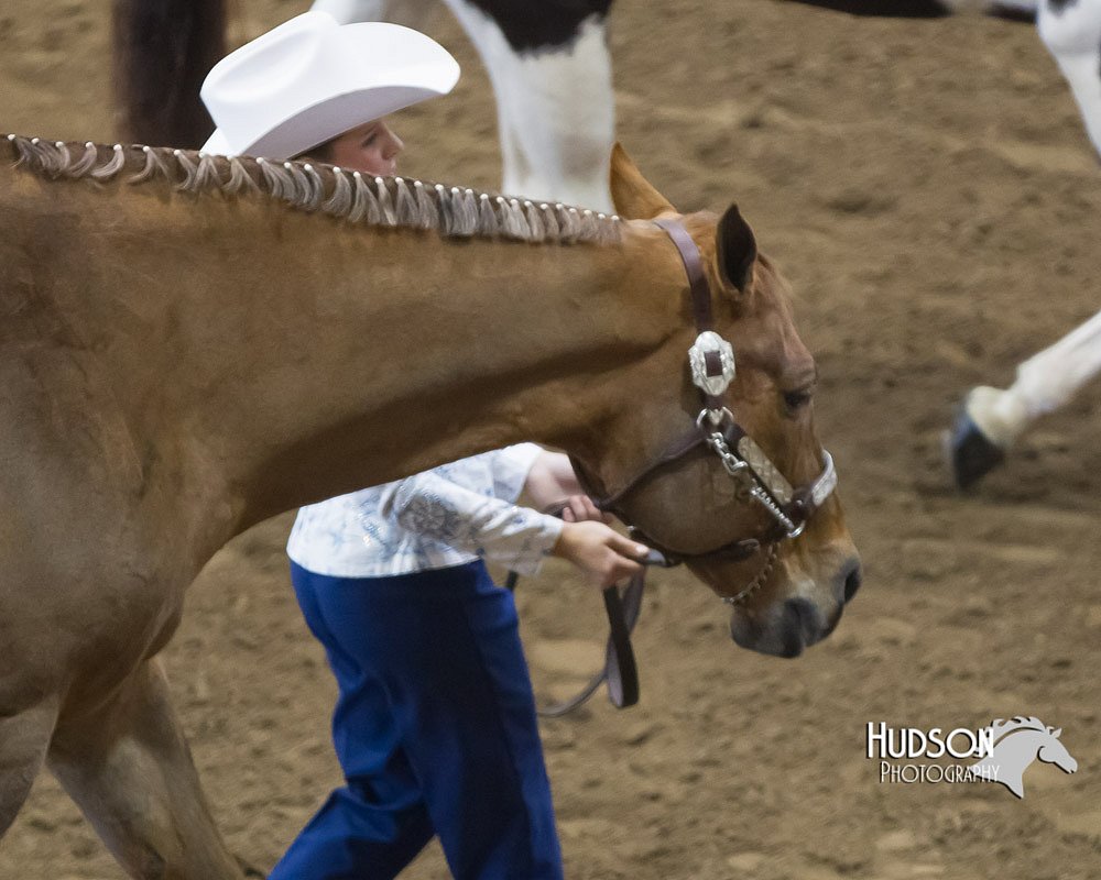 4H-Sate-102713-0995.jpg