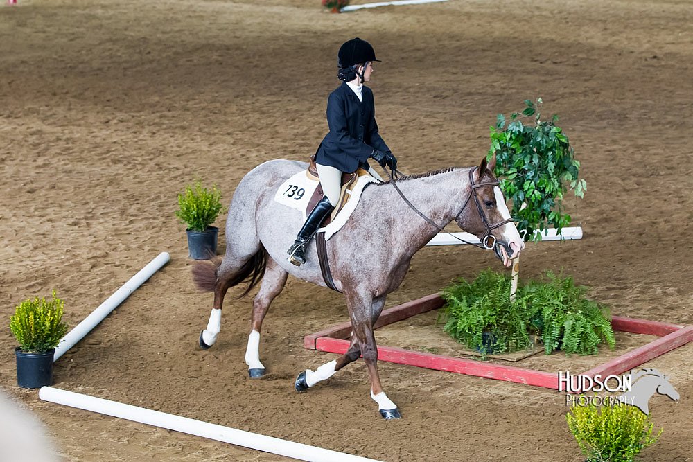 4H-Sate-102613-0518.jpg