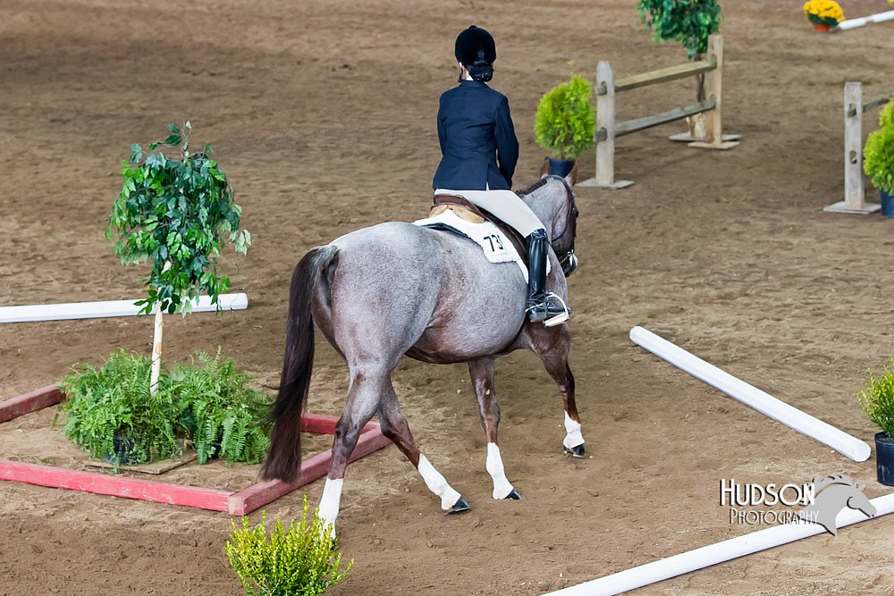 4H-Sate-102613-0519.jpg