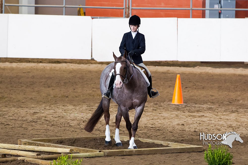 4H-Sate-102613-0522.jpg