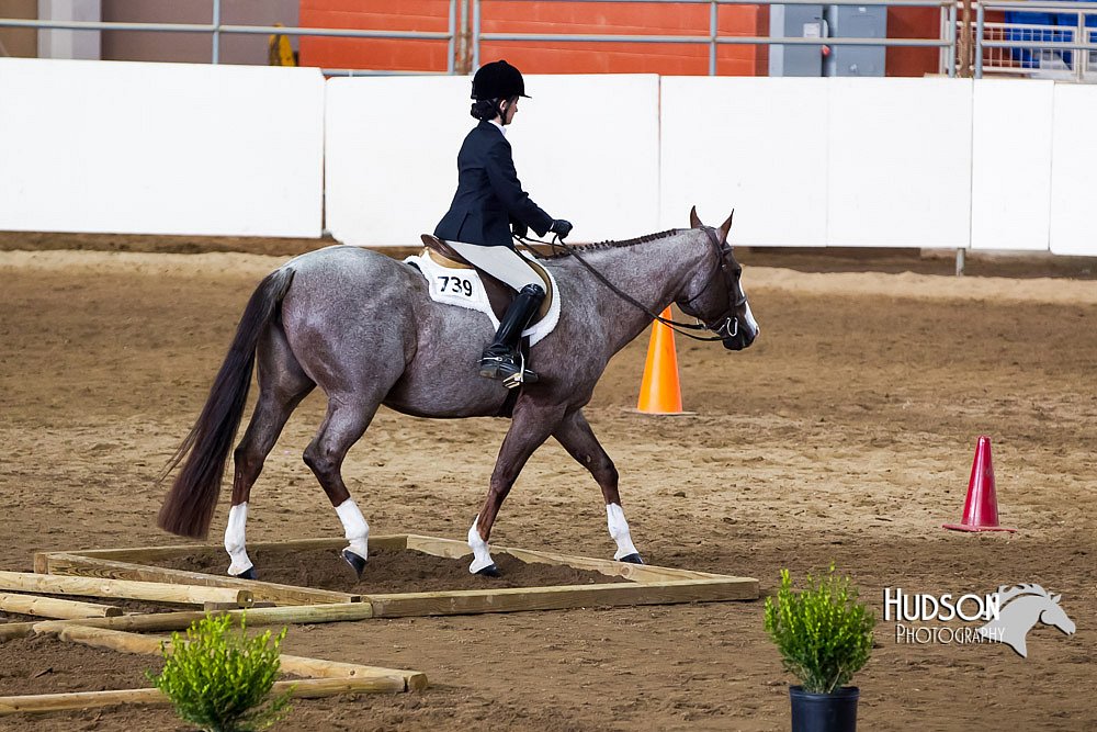 4H-Sate-102613-0523.jpg