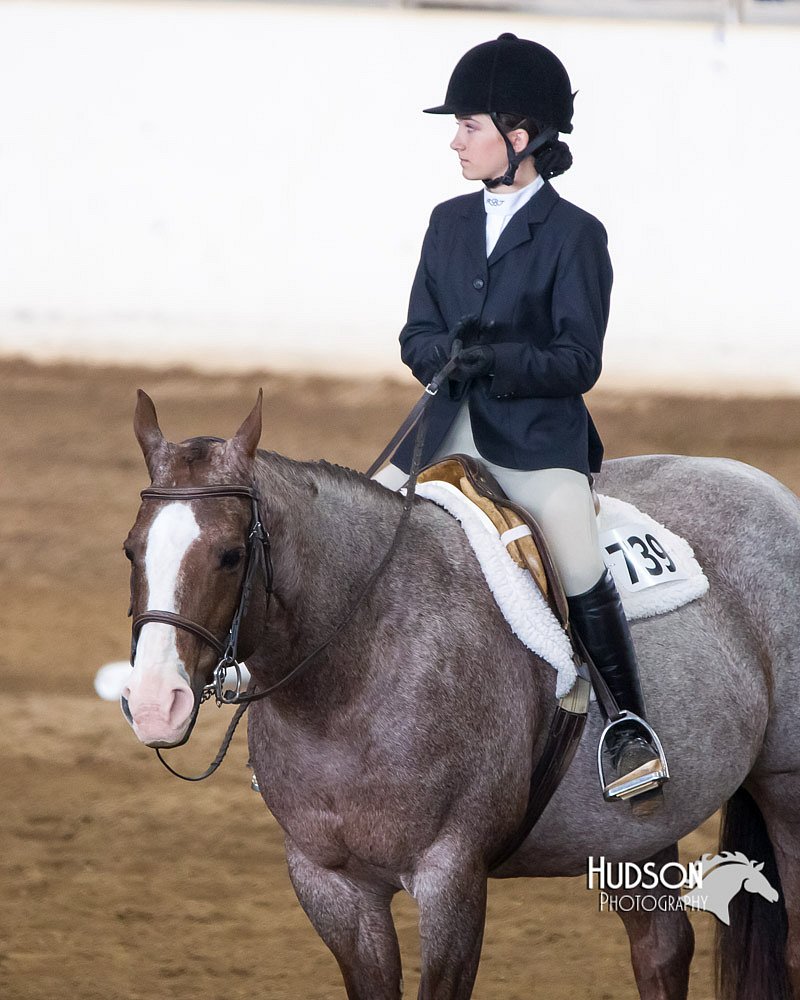4H-Sate-102613-0524.jpg