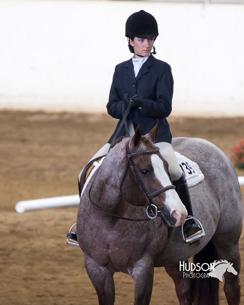 4H-Sate-102613-0526.jpg