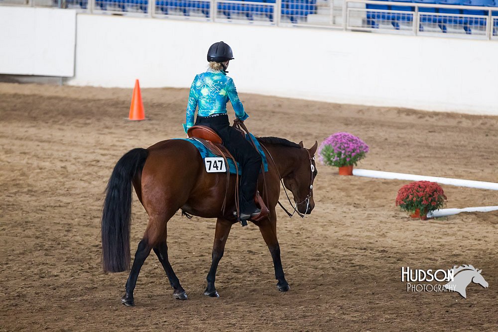 4H-Sate-102613-0578.jpg