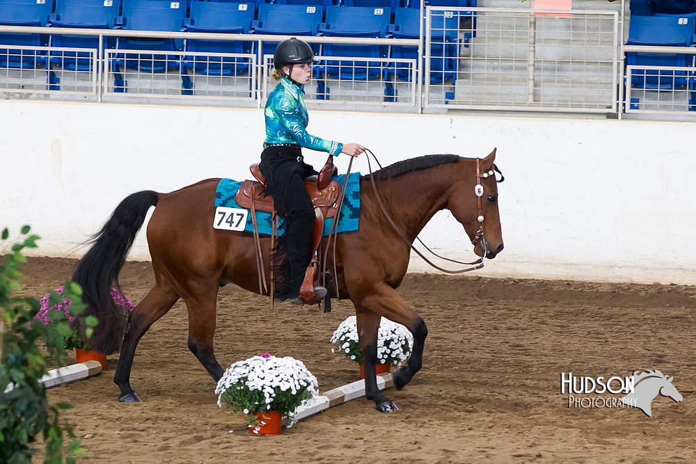 4H-Sate-102613-0582.jpg