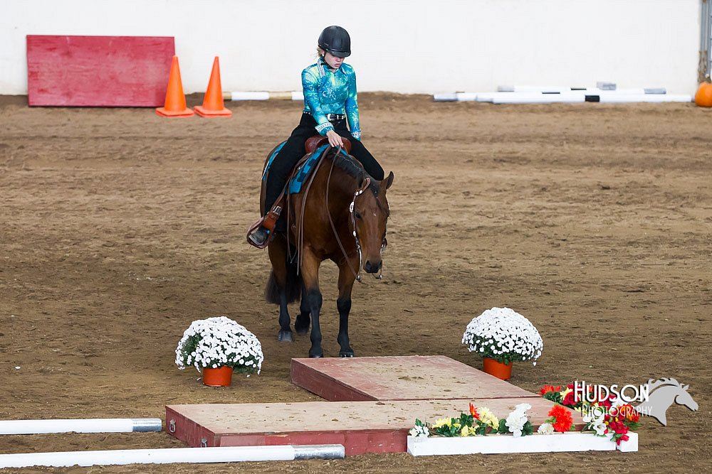 4H-Sate-102613-0584.jpg